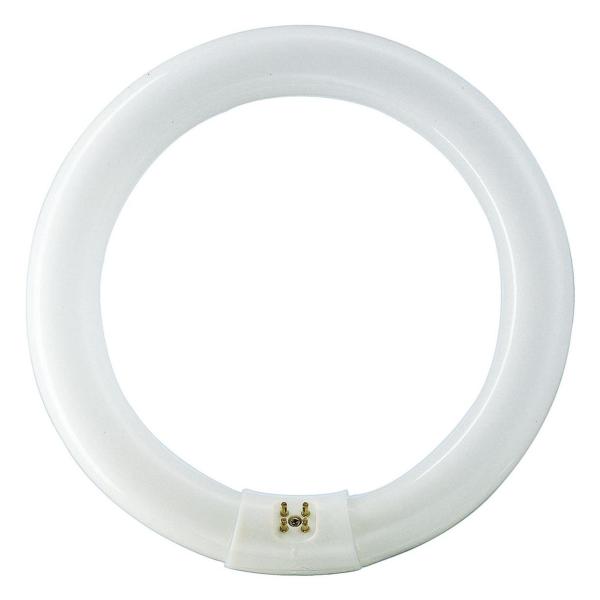 MASTER TL-D Super 80 Circular -  Fluorescent lamp -  Consumo de energía: 32.8 W -  Clase de eficiencia energética: G