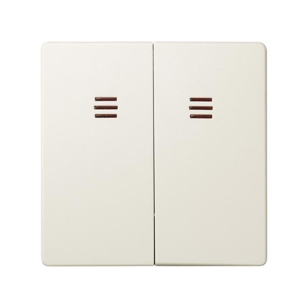 Tecla doble con visor para mecanismos de mando marfil Simon 82