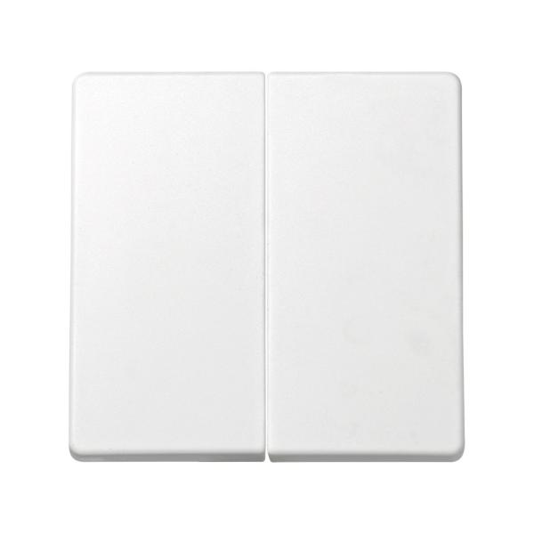 Tecla doble para mecanismos de mando blanco Simon 73 Loft